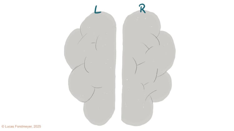 1.2: Zwei Welten in einem Kopf: Die Realität der linken vs. der rechten Hemisphäre